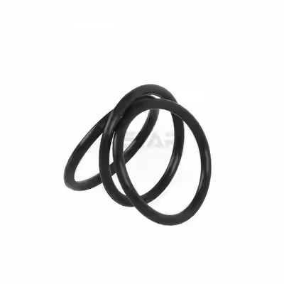 1095885 Tribo Encore pulido de segunda generación bomba de recubrimiento en polvo O anillos soporte OEM personalizado