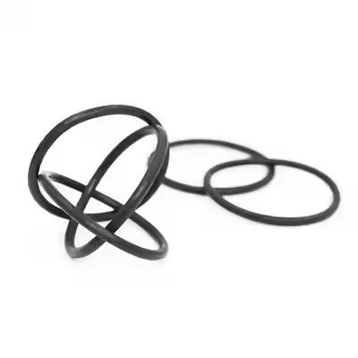 1095885 Juntas tóricas de la bomba de recubrimiento en polvo Tribo Gen II pulidas, soporte OEM personalizado