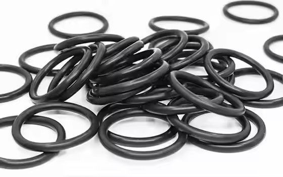 1095885 Juntas tóricas de la bomba de recubrimiento en polvo Tribo Gen II pulidas, soporte OEM personalizado