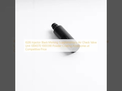 IG06 Inyector de marcado negro Unidad de válvula de control de aire complementaria 1004370 1005590 Accesorios de recubrimiento en polvo a un precio competitivo